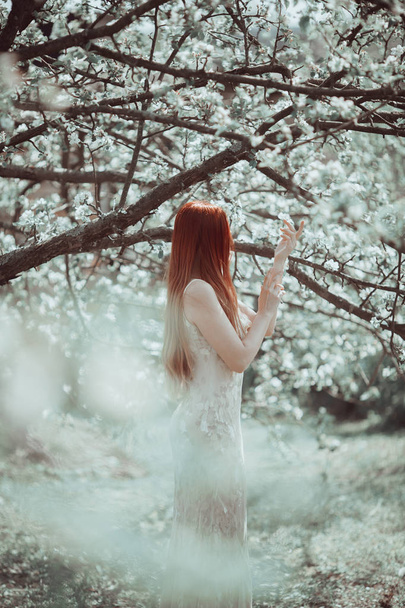 Redhead girl in long light dress in spring garden. - Foto, immagini