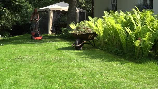 vrouwelijke tuinman in korte broek en beha duwen grasmaaier gras in de buurt van fern. 4k - Video