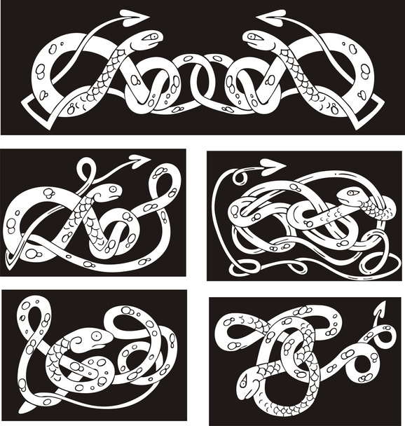 Celtic knot patterns with snakes - Vector, Image