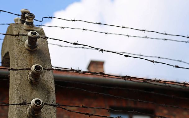 alambre de púas y la prisión
 - Foto, imagen