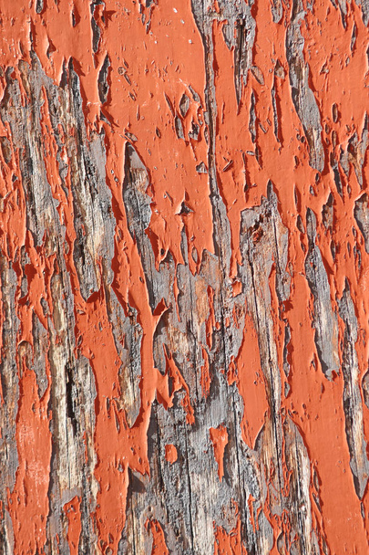 Remains of paint on old wood,  - Photo, image
