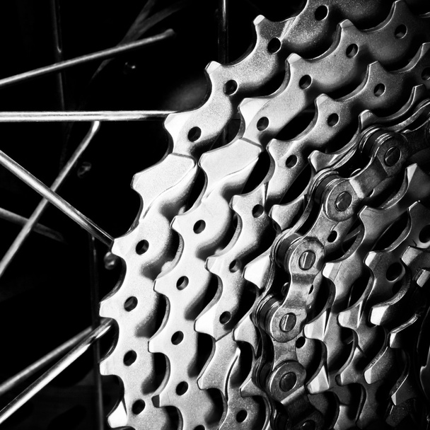 Rear wheel detail - Photo, Image