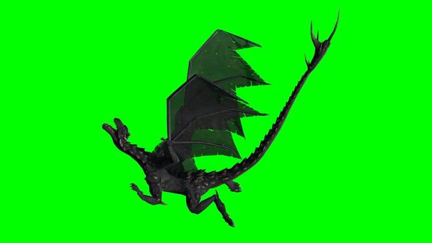 Dragón - pantalla verde
 - Foto, Imagen