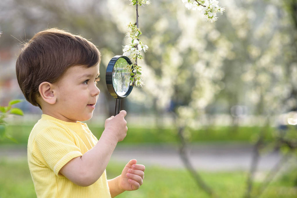 Young boy exploring nature in a meadow with magnifying glass - Fotografie, Obrázek