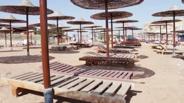 Paraguas de playa en Mar Rojo
 - Imágenes, Vídeo