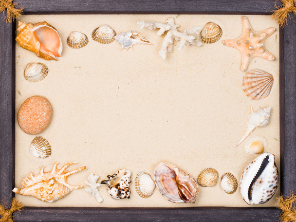 Muscheln auf Sand im Rahmen - Foto, Bild