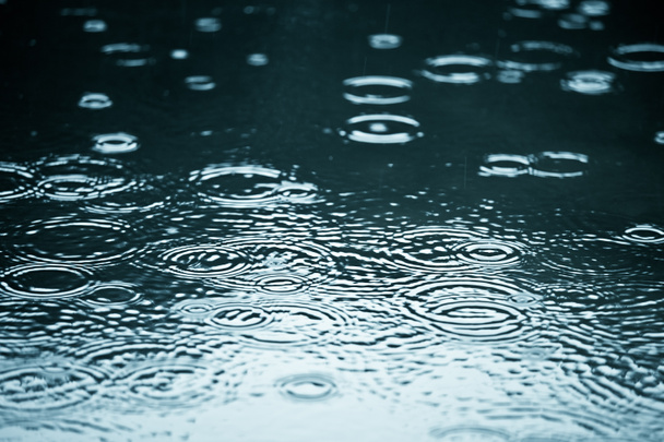 Pogoda deszczowa - Zdjęcie, obraz
