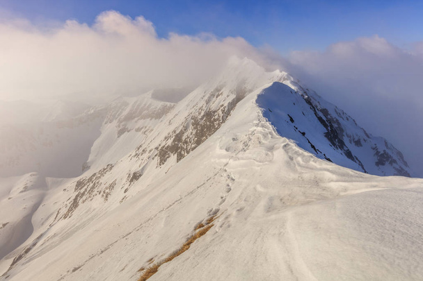moldoveanu-Gipfel im Winter - Foto, Bild