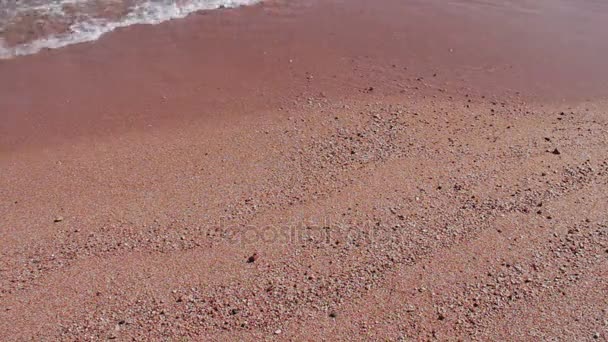 Mavi denizli tropik plaj - Video, Çekim