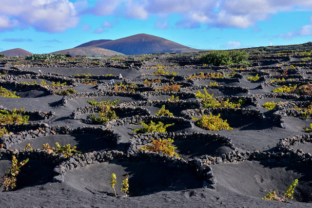 Landscape in Tropical Volcanic Canary Islands Spain - Photo, Image