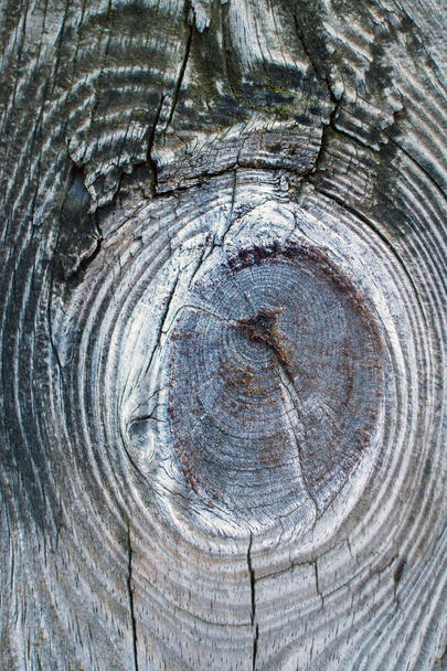 Старая деревянная доска в макро для фона
 - Фото, изображение