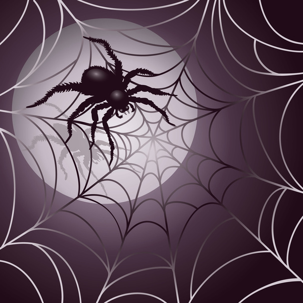 Moonlit Spider and Web - Vector, Image