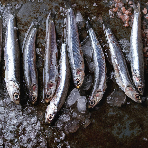 Raw fresh anchovies fishes - Φωτογραφία, εικόνα