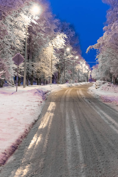 winter road in the woods - Fotoğraf, Görsel