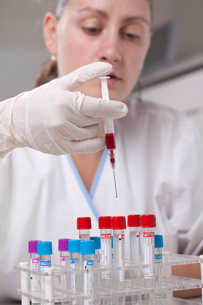 Injecting blood in test tube - Foto, Imagem