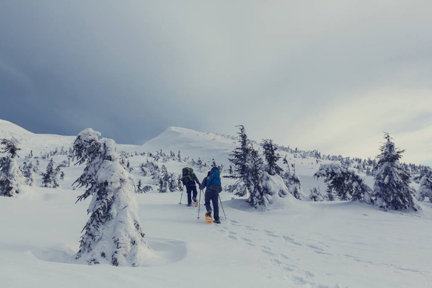 Senderistas en las montañas de invierno - Foto, Imagen