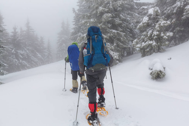 Escursionisti nelle montagne invernali - Foto, immagini