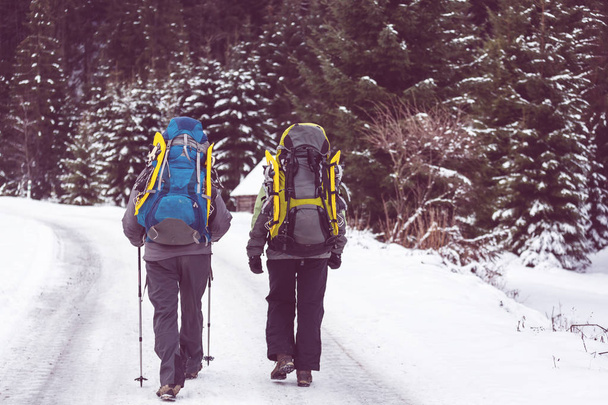 Hikers in the winter mountains - Foto, Imagen