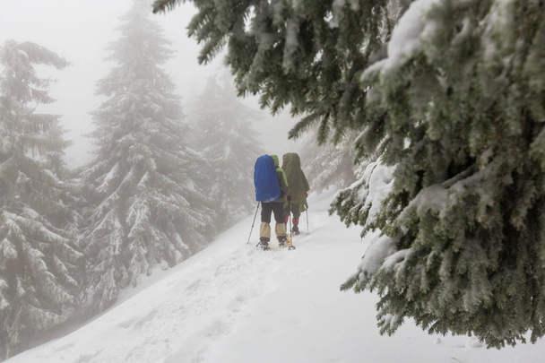 Caminhantes nas montanhas de inverno - Foto, Imagem