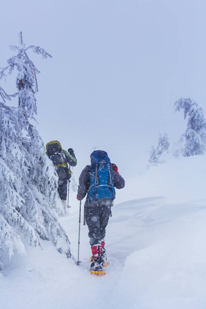 Hikers in the winter mountains - Fotoğraf, Görsel