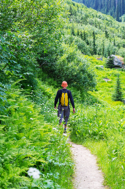 Hiking man in Canadian mountains - Photo, Image