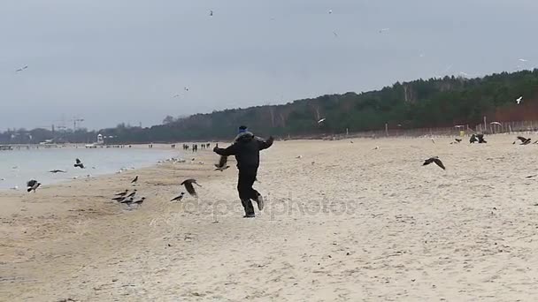 egy fiatal férfi futó, és integetett a kezét a Raven és a sirályok repülnek el tőle a Slo-Mo őszén egy Seabeach - Felvétel, videó