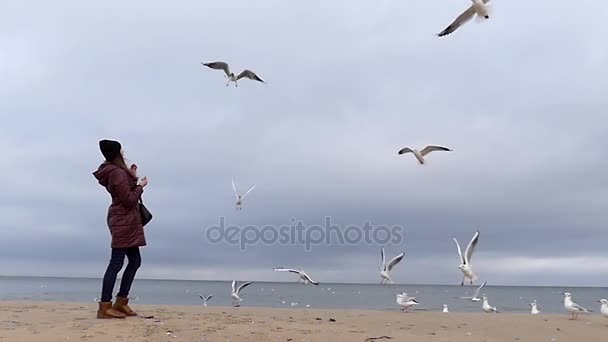 μια νεαρή κοπέλα ρίχνει ψωμί να πετούν πουλιά με γκρι-μπλε θάλασσας στο παρασκήνιο σε αργή κίνηση. - Πλάνα, βίντεο