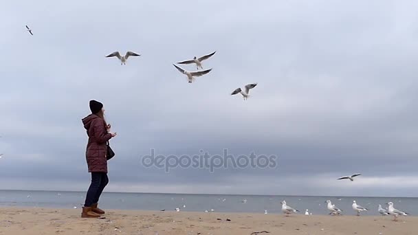 a Young Girl Throws Bread to Flying Seagulls on a Sandy Beach in Slow Motion - Footage, Video