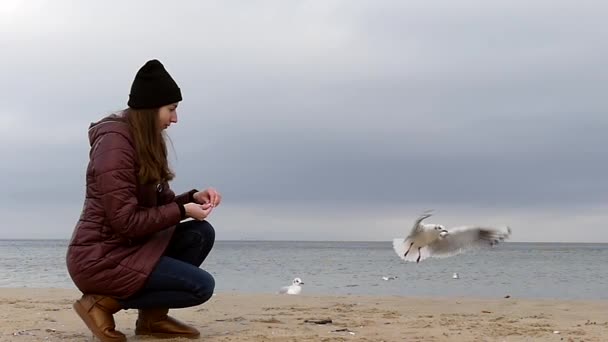 een jong meisje zittend en voeden van meeuwen op een Sandy Seabeach in Slow Motion in de herfst. - Video