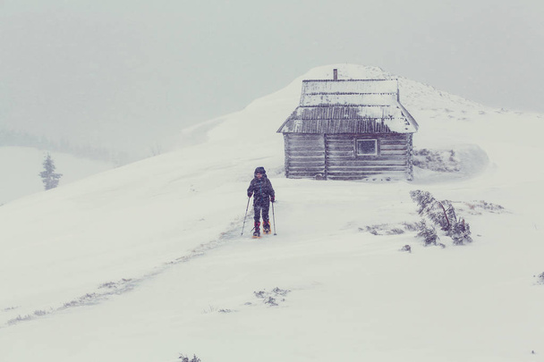 Turysta w górach zimą - Zdjęcie, obraz