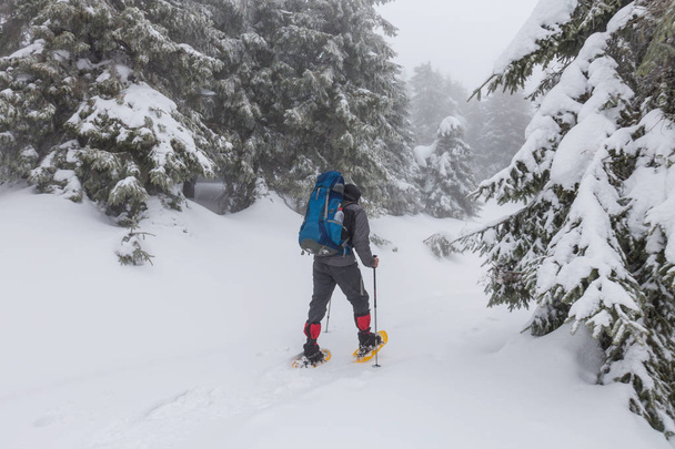 Escursionista nelle montagne invernali
 - Foto, immagini