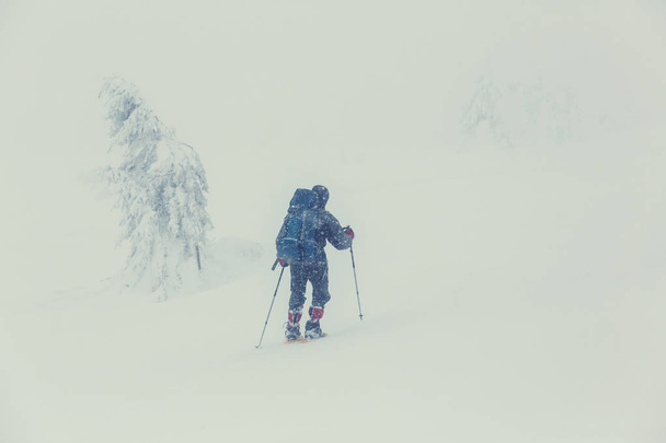 Senderista en las montañas de invierno
 - Foto, Imagen