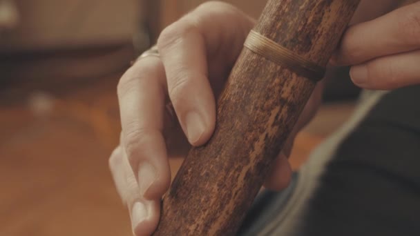 Manos de músico tocando la flauta
 - Metraje, vídeo