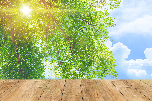 Parco all'aperto natura albero verde con cielo blu luce del sole con pavimento in legno per lo sfondo
. - Foto, immagini