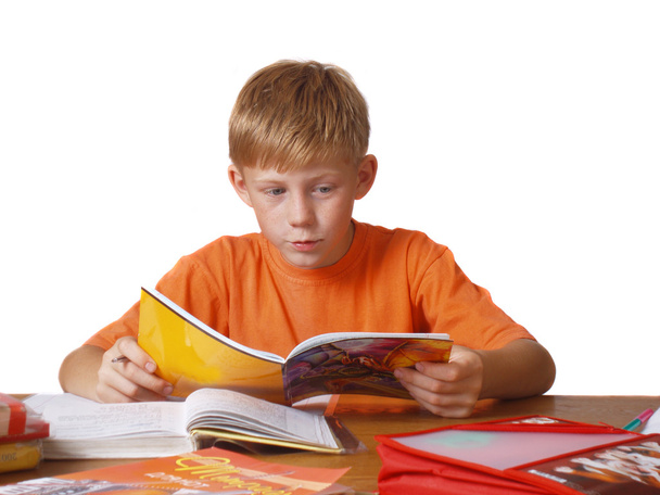 Boy with copy-book - Zdjęcie, obraz