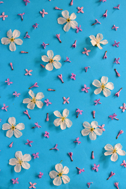 Spring flowers background - Photo, Image