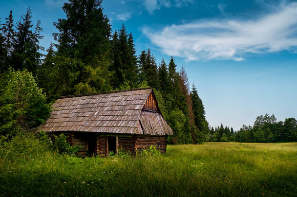 Antigua cabaña de madera en el bosque
 - Foto, imagen