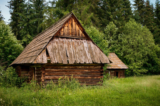 Ancienne cabane en rondins dans la forêt
 - Photo, image