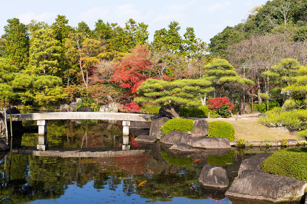 Japán kert vörös lomb - Fotó, kép