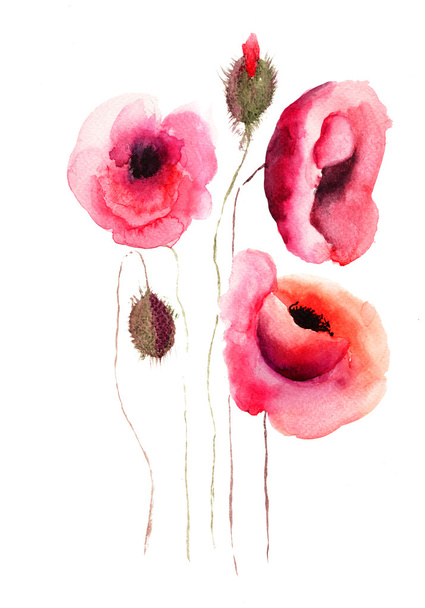 Poppy flowers, watercolor illustration - Fotoğraf, Görsel