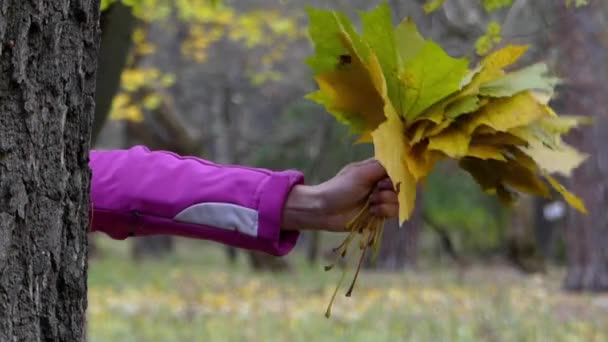 Χέρι με τα κίτρινα φύλλα στο δάσος. - Πλάνα, βίντεο
