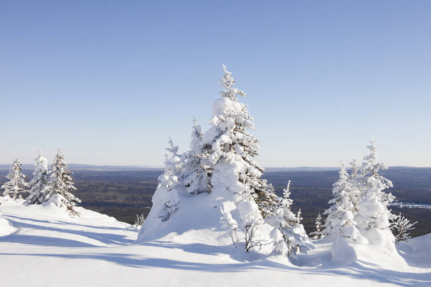 Kış manzarası. Dağ Zyuratkul. Kar köknar tre kaplı - Fotoğraf, Görsel