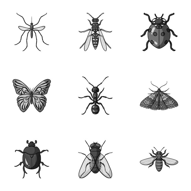 Insects set icons in monochrome style. Big collection of insects vector symbol stock illustration - Vetor, Imagem
