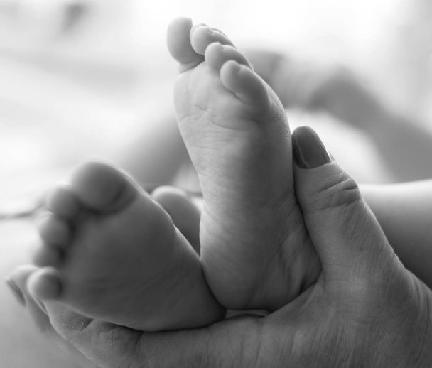 母の手の中の赤ちゃんの足 - 写真・画像