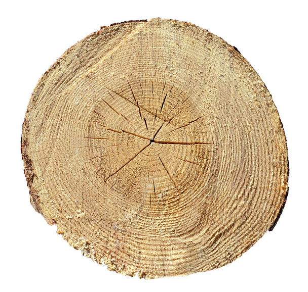 Anneaux d'arbre, bois, billot. Texture en bois
 - Photo, image