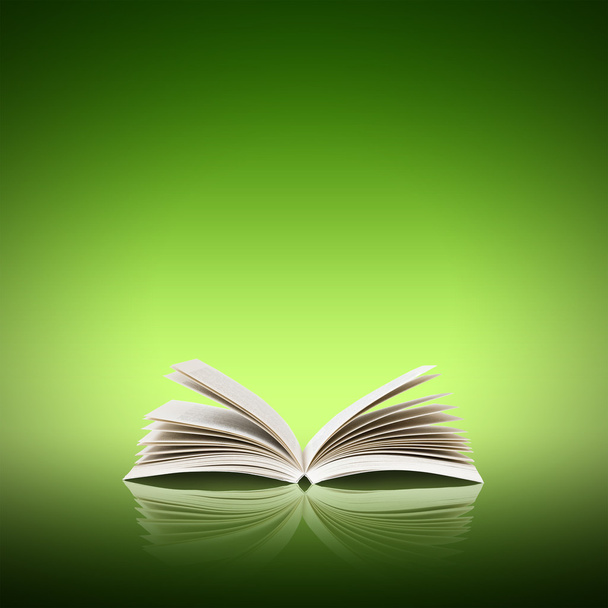 Open book isolated - Photo, image