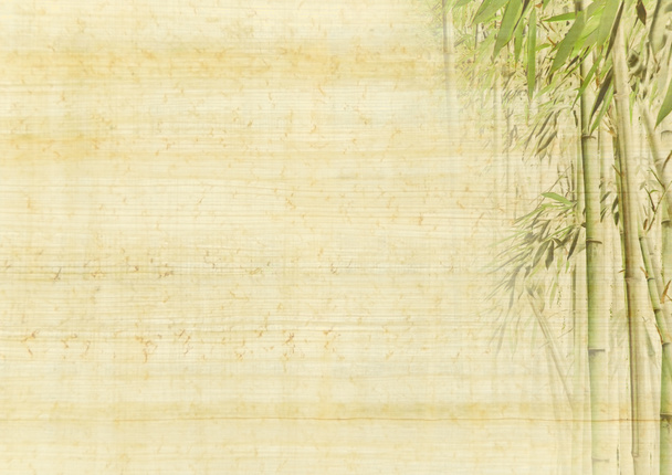 Sfondo di bambù - Foto, immagini