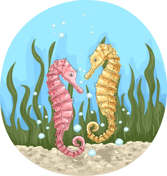 Seahorse Couple Illustration - Photo, Image