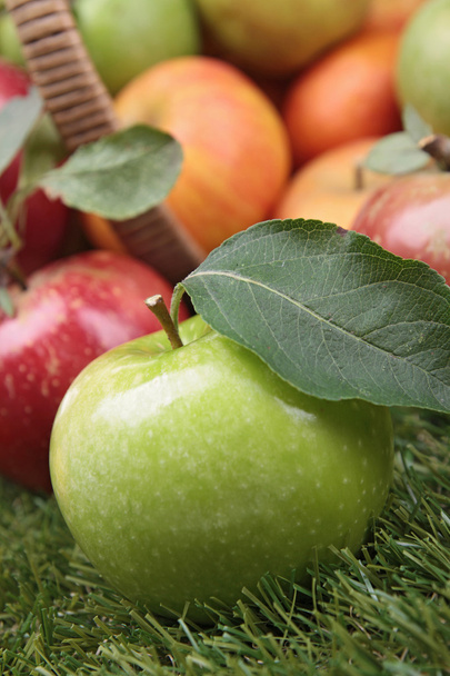 Fresh apples - Фото, зображення