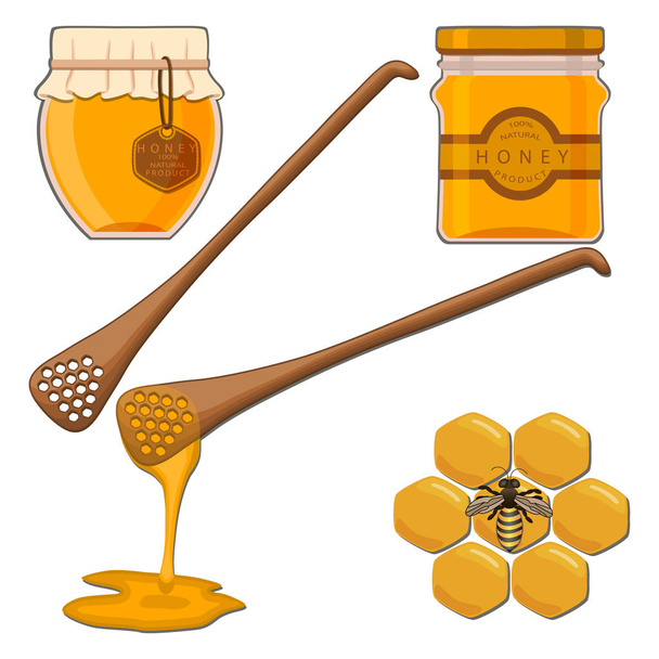 honey in the honeycomb - Vector, Image